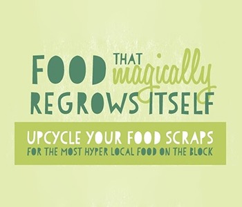 Reciclando vegetales: comida de usar y reciclar